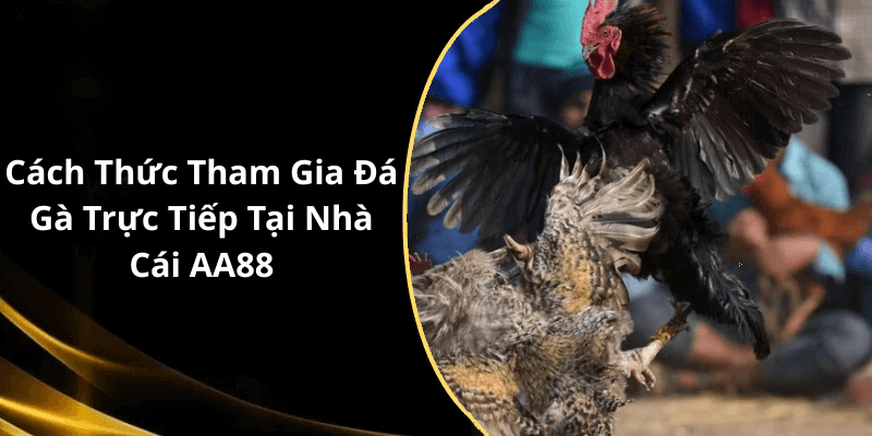Cách Thức Tham Gia Đá Gà Trực Tiếp Tại Nhà Cái AA88