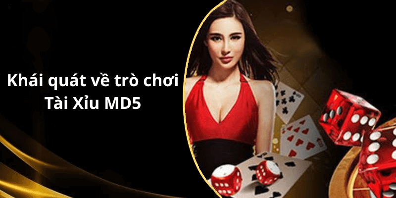 Khái quát về trò chơi Tài Xỉu MD5
