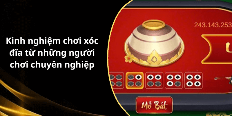 Kinh nghiệm chơi xóc đĩa từ những người chơi chuyên nghiệp