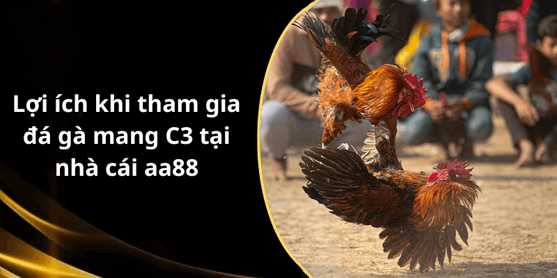 Lợi ích khi tham gia đá gà mang C3 tại nhà cái aa88