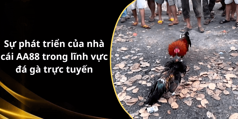 Sự phát triển của nhà cái AA88 trong lĩnh vực đá gà trực tuyến