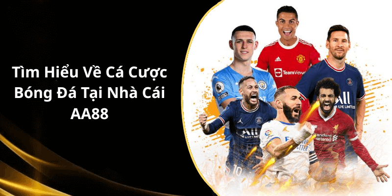 Tìm Hiểu Về Cá Cược Bóng Đá Tại Nhà Cái AA88