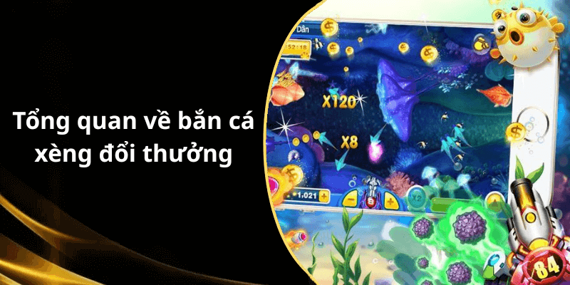 Tổng quan về bắn cá xèng đổi thưởng