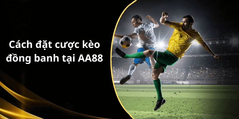 Cách đặt cược kèo đồng banh tại AA88