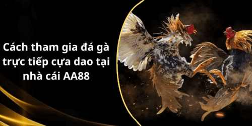 Cách tham gia đá gà trực tiếp cựa dao tại nhà cái AA88