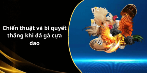 Chiến thuật và bí quyết thắng khi đá gà cựa dao