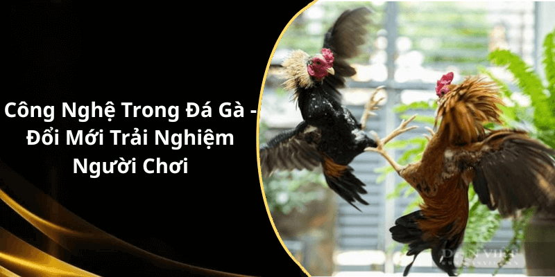 Công Nghệ Trong Đá Gà - Đổi Mới Trải Nghiệm Người Chơi