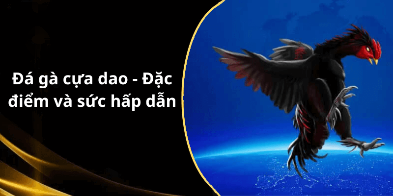 Đá gà cựa dao - Đặc điểm và sức hấp dẫn