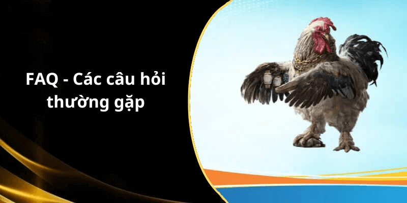 FAQ - Các câu hỏi thường gặp