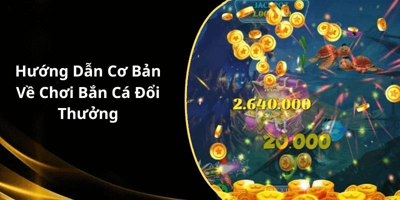 Hướng Dẫn Cơ Bản Về Chơi Bắn Cá Đổi Thưởng