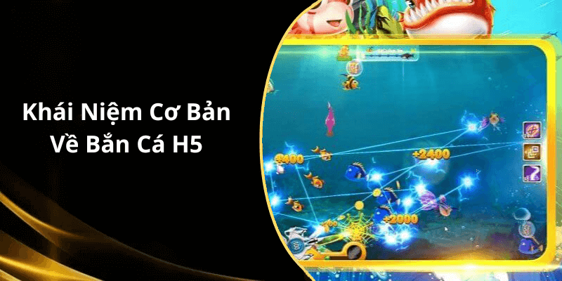 Khái Niệm Cơ Bản Về Bắn Cá H5