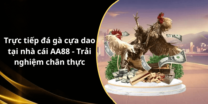 Trực tiếp đá gà cựa dao tại nhà cái AA88 - Trải nghiệm chân thực